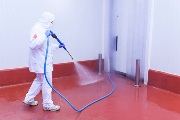 Best Roof Washing  in Mango, FL